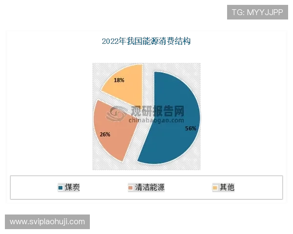电子vit在新能源设备中的集成应用及其对能源管理的影响分析